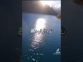 تحيا زوالي