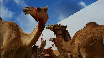 Blackmagic Fusion Luma Keyer - Simple Keying for Sky Replacement