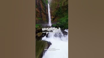 إني جزيتهم اليوم بما صبروا أنهم هم الفائزون #سورة_المؤمنون #اسلام_صبحي #تلاوة_خاشعة #اكسبلور