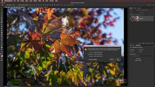 Selectively Enhancing Colours Photoshop