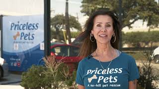 Priceless Pets - Chef Masters 2025