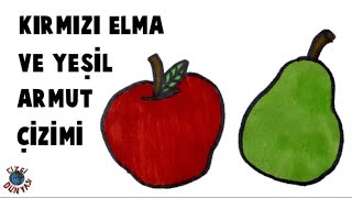 Çook Basit Kırmızı Elma Ve Yeşil Armut Çizimi | Red Apple And Green Pear Drawing