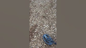 The simplex is fantastic in playgrounds! #noktamakro #silver #coin #metaldetector #gold #treasure