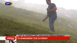 Το φημισμένο τσάι Ολύμπου