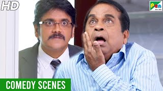 Dayaalu - Superhit Comedy Scenes | Hindi Dubbed Movie | Nagarjuna, Naga, Samantha, Brahmanandam