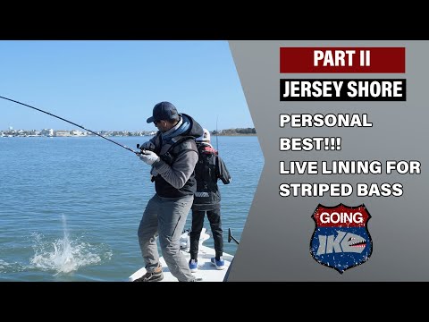 PERSONAL BEST Striped Bass for Vegas while Live Lining in the Jersey Shore, Going Ike