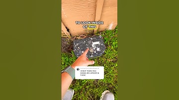 Have you found a cache container hidden inside of this before?! Spiders LOVE these types of hides!