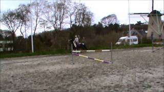 Видео Dark Lord - 170cm, 2008 год, AES жеребец, пегий, конкур 130см (автор: KTO horses)