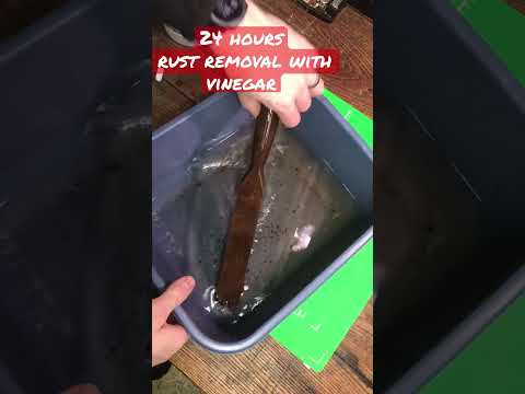 24 Hour Rust