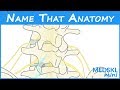 Name That Anatomy - Episode 193