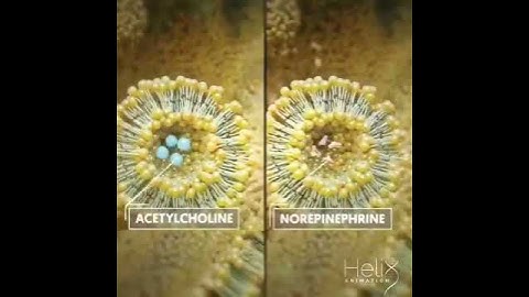 Killer visualization of Helix