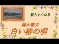白い椿の唄/楠木繁夫