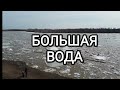 Половодье на реке Урал. ЗКО, Трёкино, Вербовый яр. 21 марта 2023 года.