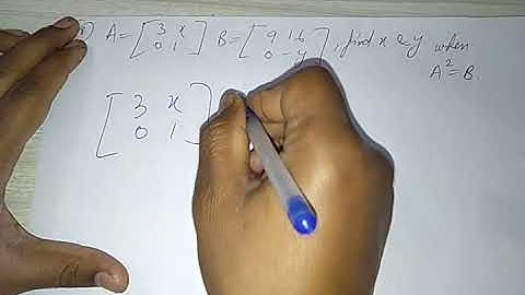 MATRIX ICSE CLASS X 8.3 Q28