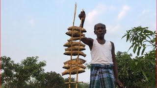 Fresh Fish Caught and Barbecued Using Bamboo Sticks