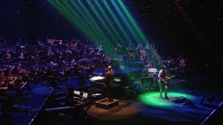 HOTEI - 「GUITAR × SYMPHONY」ダイジェスト