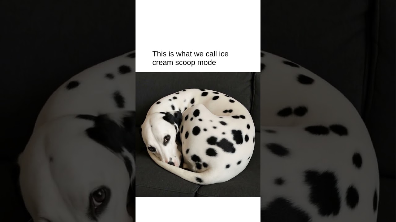 I would like 2 scoops plz