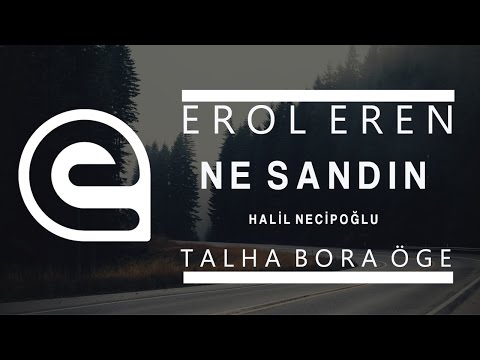 Ne Sandın - Erol Eren (Talha Bora Öge)