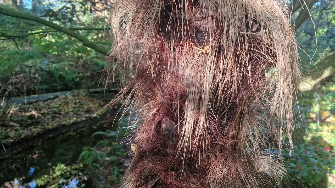 Compton Acres in the Autumn - Marvellous Gardens near Bournemouth, Southern England - November 2025