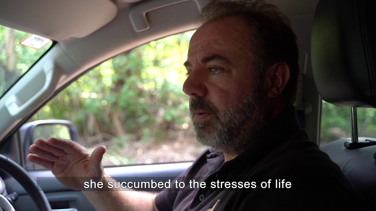 Yesterday Stories   Berrima region   Joadja