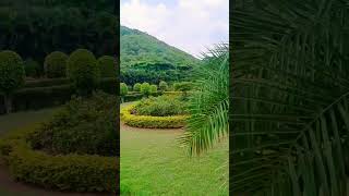 Nature best view || Chaleya song || nature shorts video youtube || #nature #chaleya