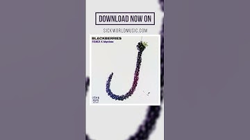 Thumbnail of FISHER & bbyclose - Blackberries (Extended Mix)