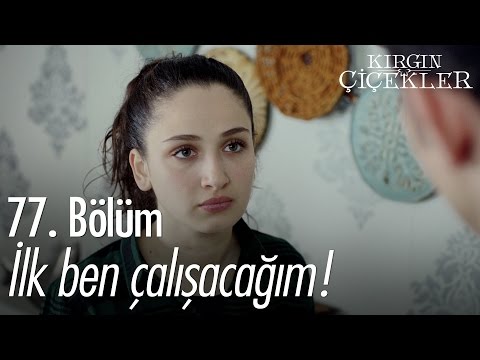 İlk ben çalışacağım! - Kırgın Çiçekler 77. Bölüm - atv