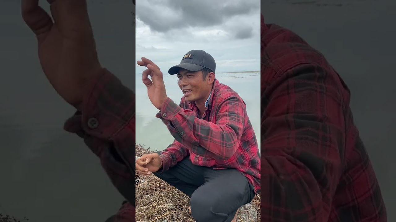 Mẹ em thanh cầu cúu con trai đi biển / 