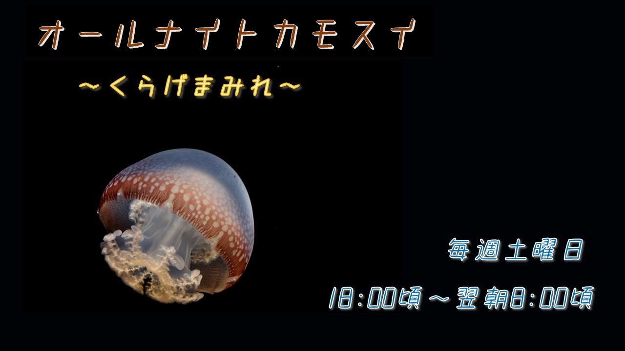 オールナイトカモスイ ～くらげまみれ～ #217 ベニクラゲ - YouTube