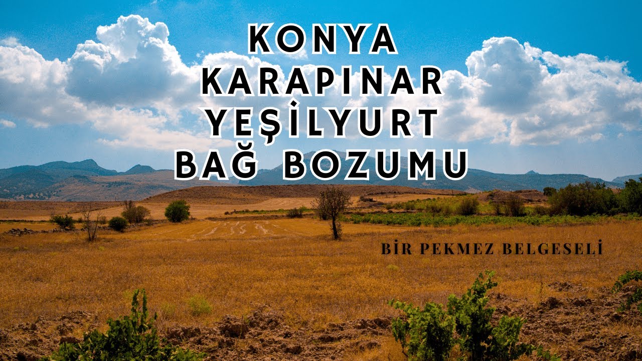 KONYA/KARAPINAR/YEŞİLYURT -  BAĞ BOZUMU VE PEKMEZ BELGESELİ