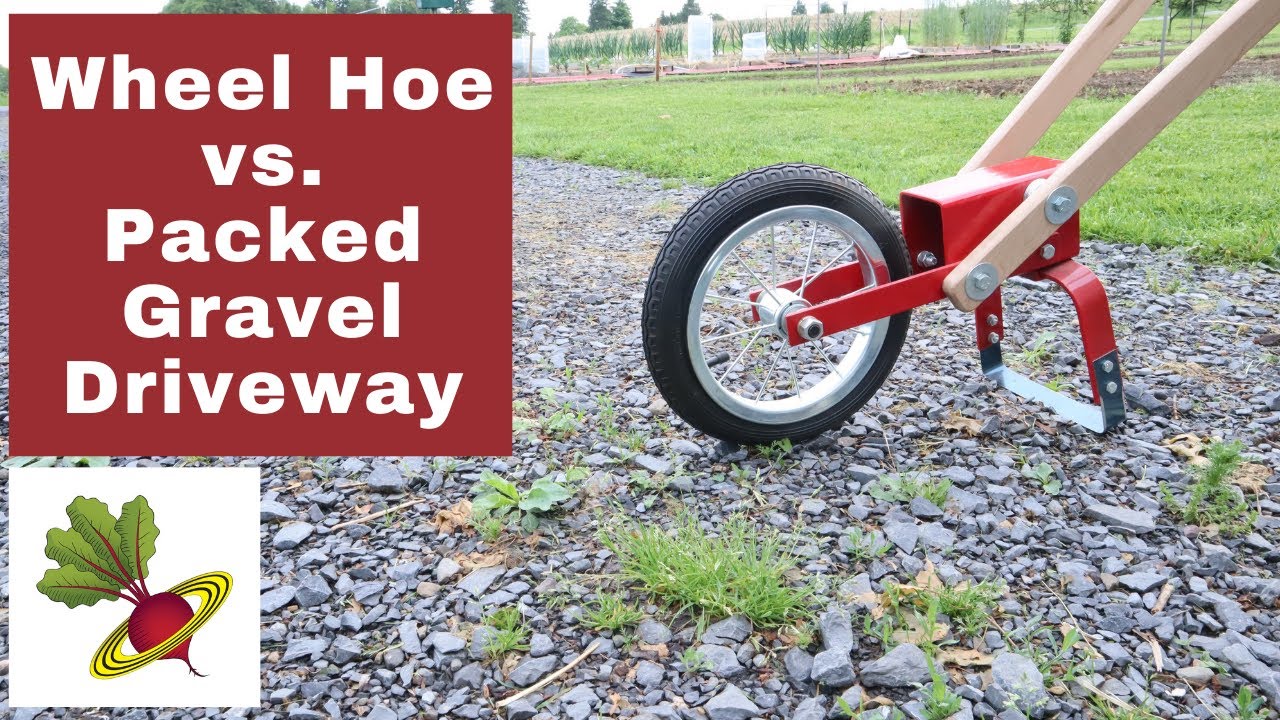 Колесная мотыга Whizbang против сорняков на подъездной дорожке с утрамбованным гравием