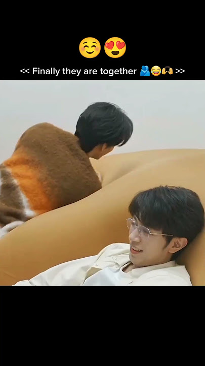 Finally they are together🫂💓😔[ABO Desire ]#bl #cdrama #shorts