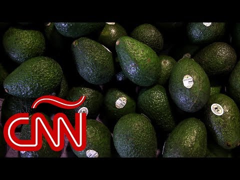 Hasta los aguacates