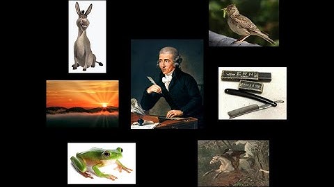 Haydn String Quartet Nicknames