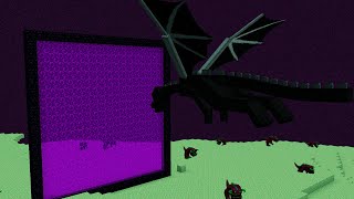 what if ender dragon goes to nether?