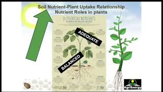 3 - The Potassium Battery & Soil/Plant Nutrient Uptake