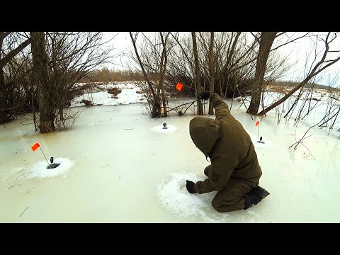 КАК ТАКОЕ ПРОИЗОШЛО! ОСТАВИЛ ЖЕРЛИЦЫ НА НОЧЬ И НЕ ПОВЕРИЛ ГЛАЗАМ. Удачная рыбалка.