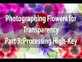 Photographing Flowers for Transparency | Part 3: Processing a High-Key Layer Stack | Harold Davis