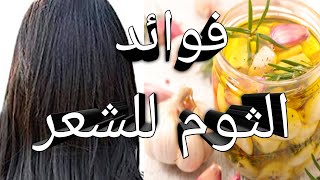 فوائد الثوم للشعروكيف يساعد الثوم على نمو الشعر وتكثيفه