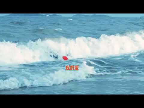 动态字幕+拼音《大海》张雨生 卡拉OK版（"Ocean" Zhang Yusheng Karaoke Edition）