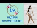 19 Неделя Беременности. Развитие плода и ощущения мамы