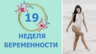 19 Неделя Беременности. Развитие плода и ощущения мамы