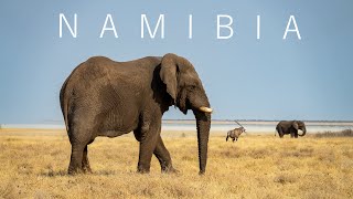 NAMIBIA 2022 | SHORT VERSION |CAPRIVI-STRIP | AMAZING ROADTRIP WITH MAGIC WILDLIFE