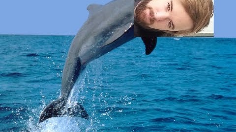 Battlefield 4 - Cleaning out the Shadowplay Folder #1