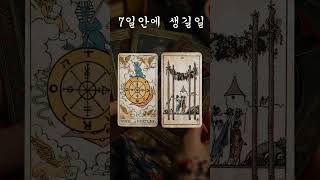 소름돋게 맞추는 타로카드 운세! 앞으로 7일안에 생길일! 일주일운세! 곧 나에게 생길 좋은 일! 나에게 올 …