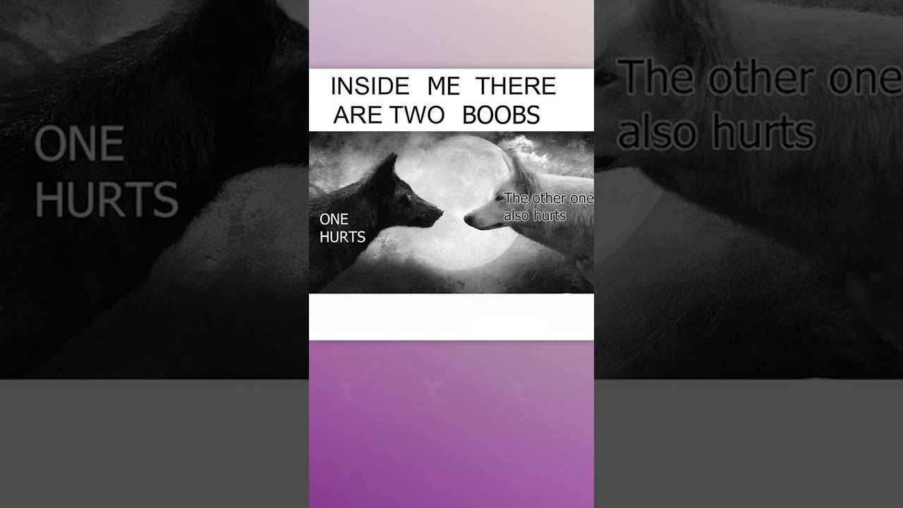 Trans girls giving insight into men's brains | r/traaa2 