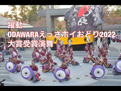 躍動/大賞受賞/ODAWARAえっさホイおどり2022