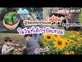 EP.17 | ชีวิตเกษตรกรในชนบทญี่ปุ่น(ฮอกไกโด) ในวันที่เด็กๆปิดเทอม ทำอะไรกันบ้าง?