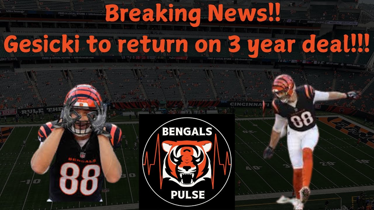 Breaking News!! Gesicki to return on 3 year deal!!! Bengals Pulse