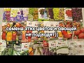СЕМЕНА цветов🌸 и овощей🍆🫑🥒🍅на 2024г. ПРОСТЫЕ, но надёжные (и немного новых на пробу)